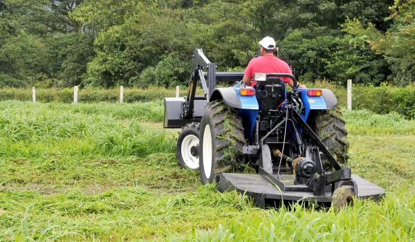 What-Is-Bush-Hogging-How-It-Works